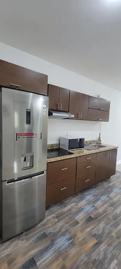 Departamento Playa Sur Apartment Mazatlan